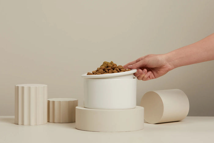 Dog Bowl Set with Mat - Pink & White