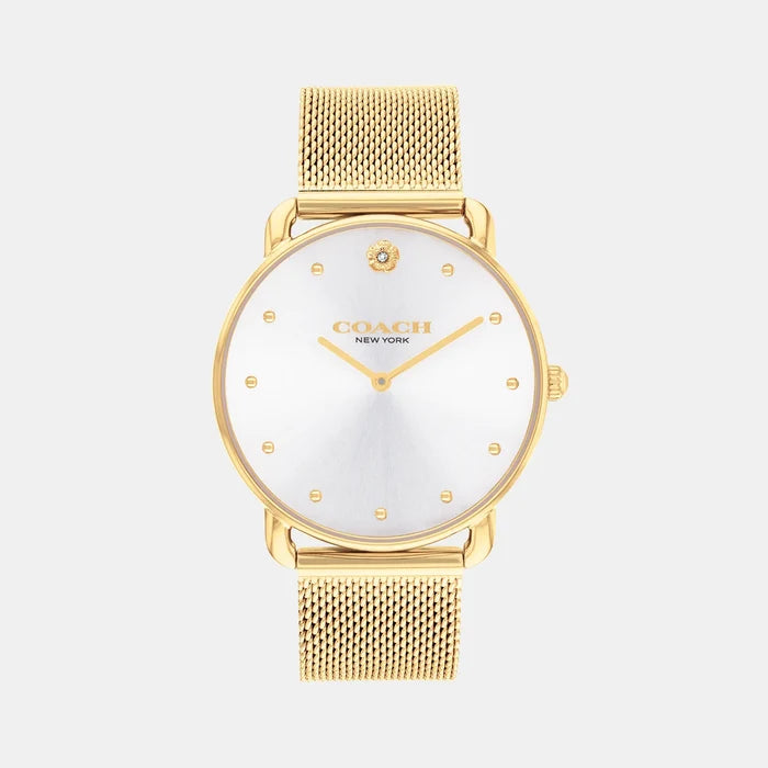 Elliot Women Quartz Silver Dial Analog Mesh Watch 14504208