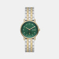 Skagen Round Green Analog watch