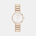 Minimalistic T-Bar Women Quartz Grey Dial Analog Stainless Steel Watch 25200140