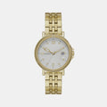 Skagen Round Silver Analog watch