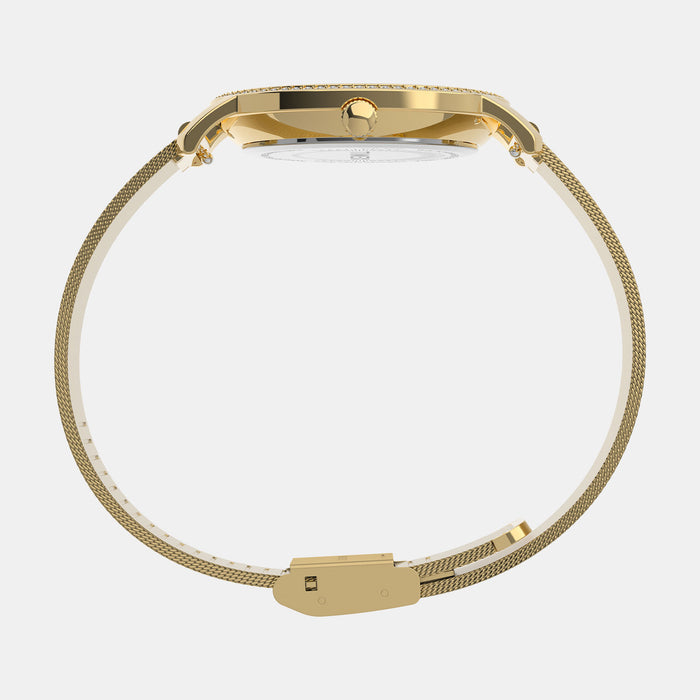 Timex Brass  watch