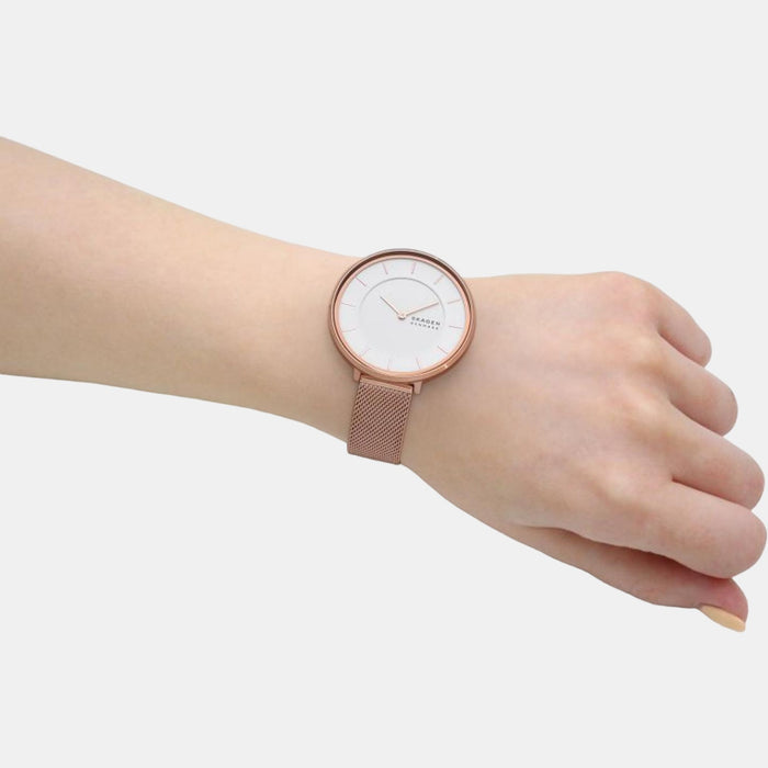 Skagen Stainless Steel Round watch