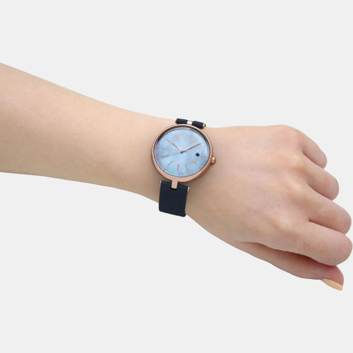 Skagen Stainless Steel Round watch